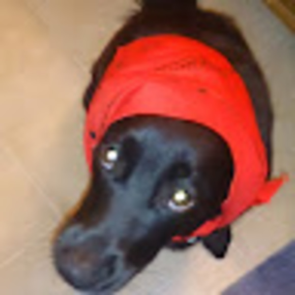 Meet your Posher, Alicen - Picture 1 of 1